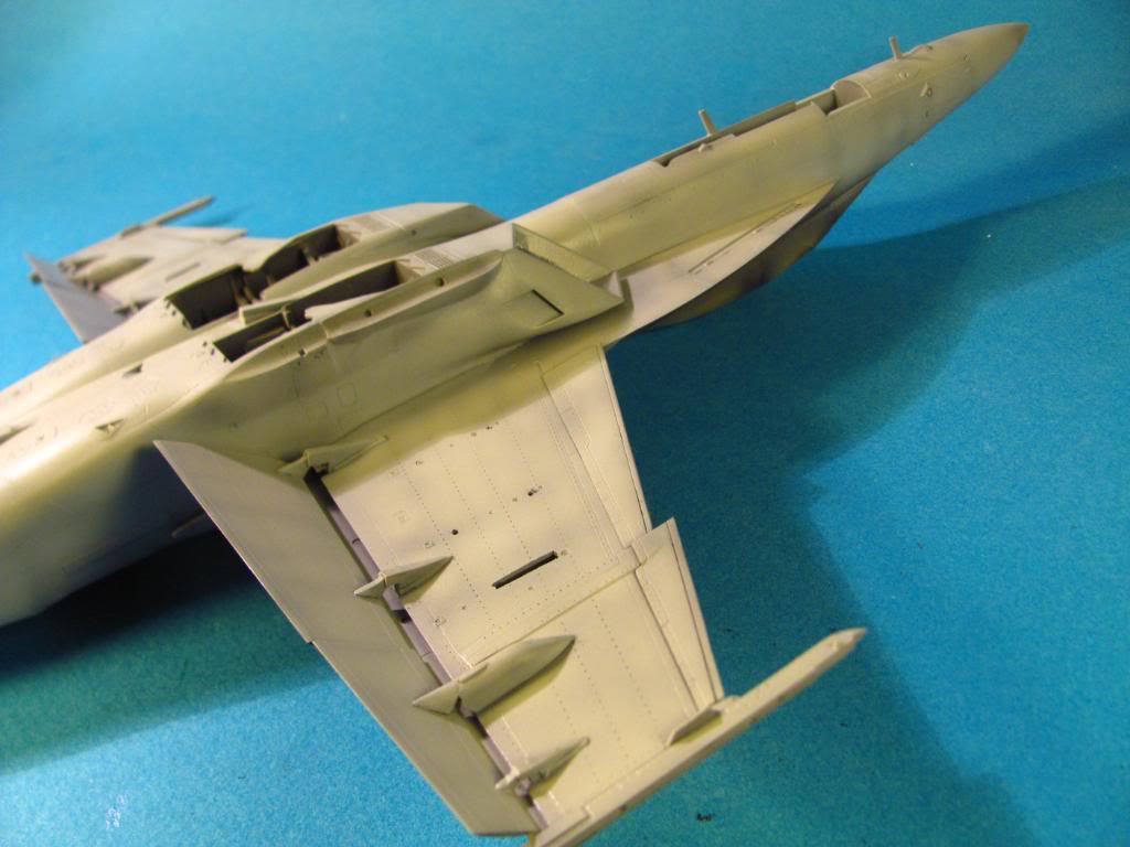 F-18F Super Hornet,  Hasegawa 1/48 - Sida 4 IMG_2989