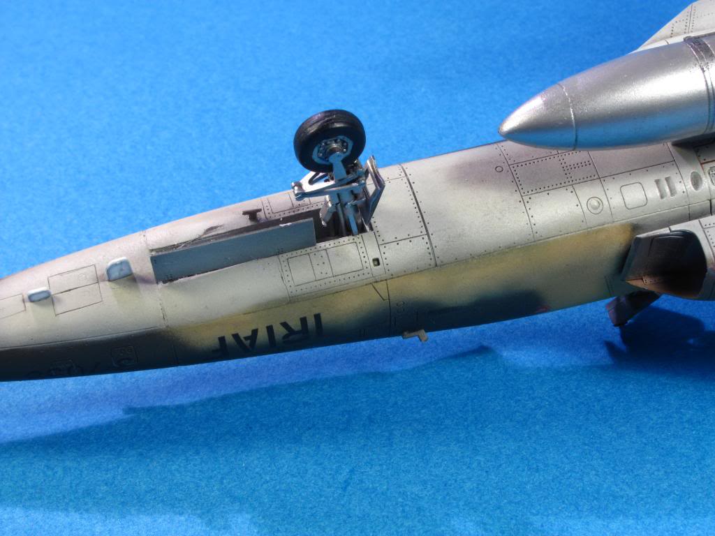 IRIAF F-5E Tiger II, AFV Club 1/48 IMG_2311