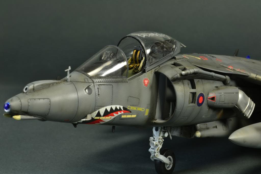 Harrier GR7, Hasegawa 1/48 DSC_7240