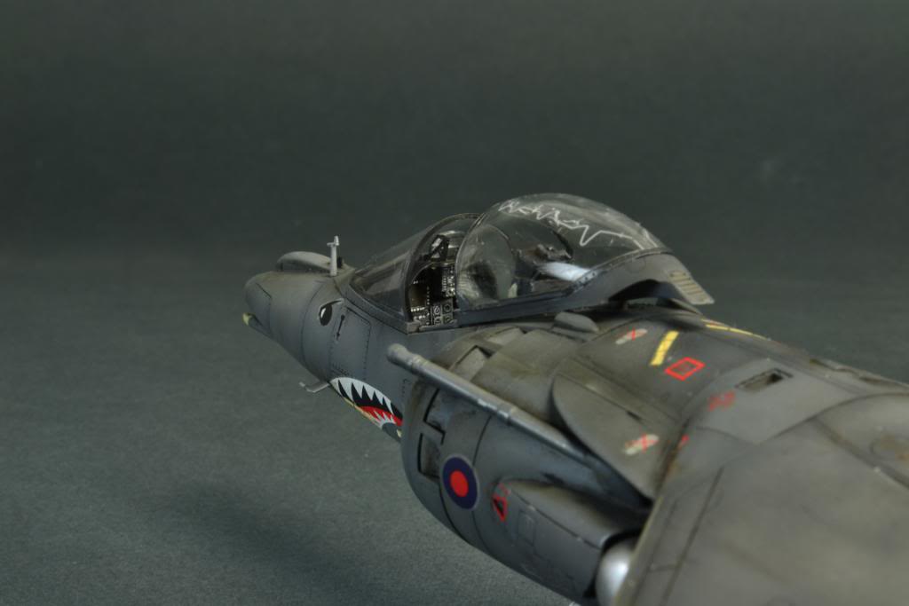 Harrier GR7, Hasegawa 1/48 DSC_7247