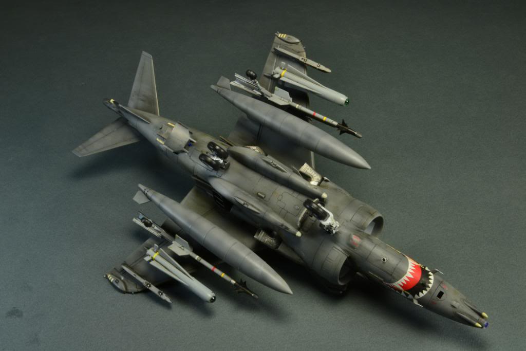 Harrier GR7, Hasegawa 1/48 DSC_7261