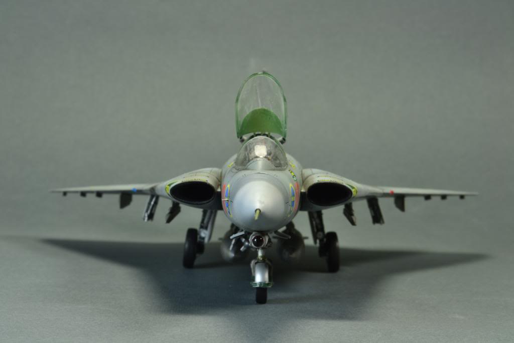 J35J Draken, Hasegawa 1/48 DSC_7479