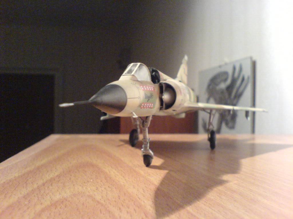 Eduard 1/48 Mirage III CJ DSC01421