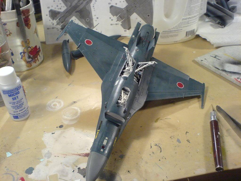 Hasegawas Mitsubishi F-2A i 1/48 - Sida 7 DSC01945