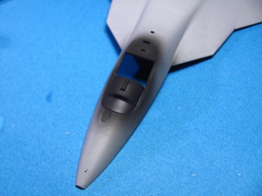 PAK-FA  Su-50/T-50,  Svezda 1/72 IMG_2330