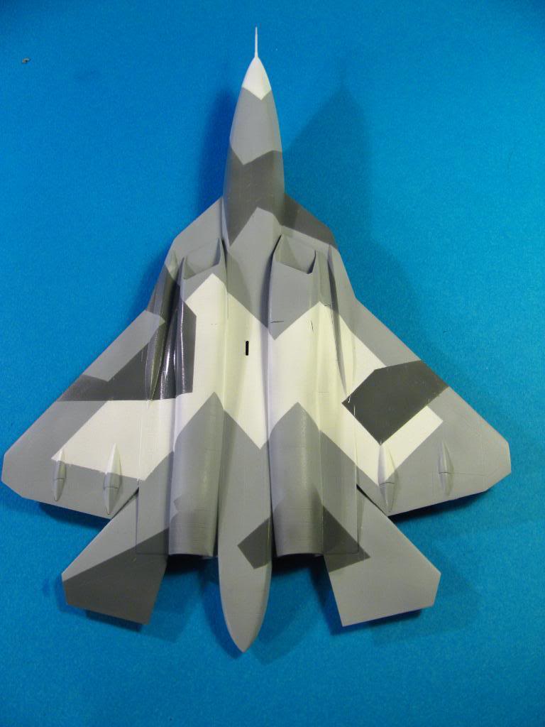 PAK-FA  Su-50/T-50,  Svezda 1/72 - Sida 2 IMG_2367