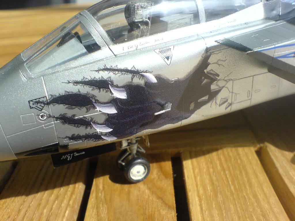 Black Panther Tornado ECR, Italeri 1/48 DSC02086