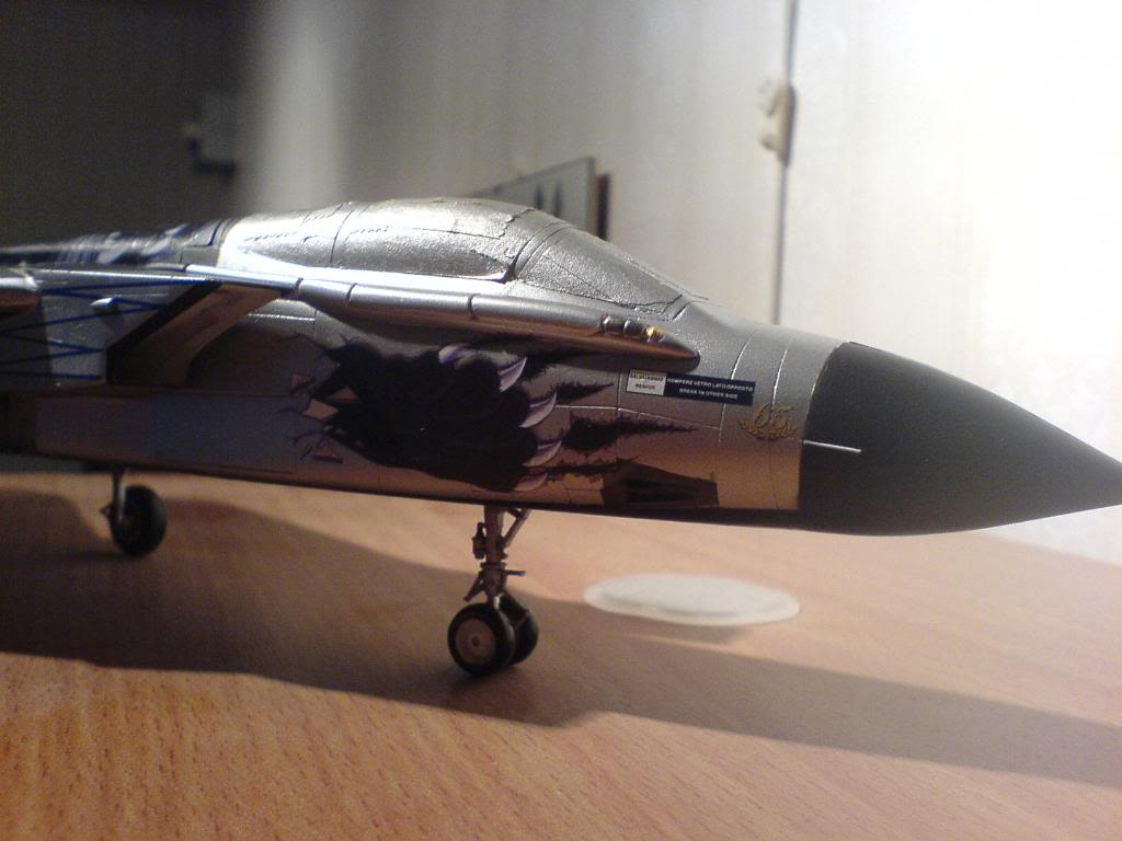 Tornado ECR 1/48 från Italeri (fast det står IDS på lådan) - Sida 5 DSC02073