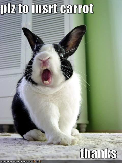 Random-Funny pics Funny-pictures-rabbit-opens-mouth-f