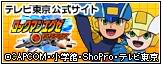 Rockman Exe / Megaman Nt Warrior Linkanime