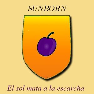 CASAS MENORES DEL DOMINIO Y ALTOJARDIN Sunborn2