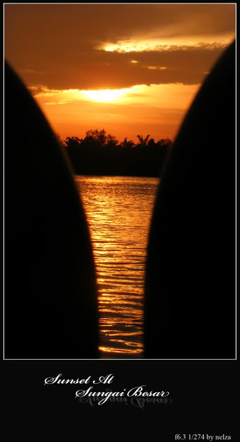 PHOTOGRAPHY - Page 2 Sunset