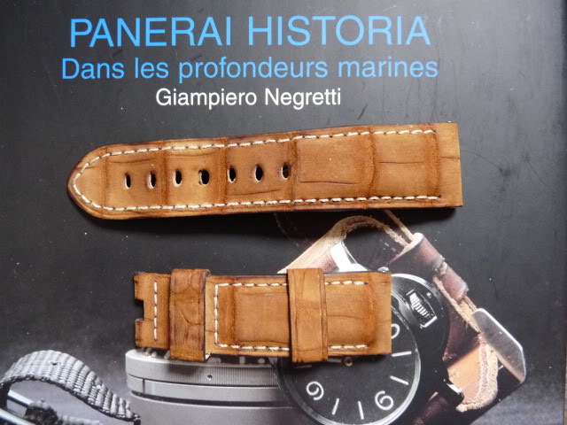 (Vendu) Strap OEM "Jules Verne" P1020206