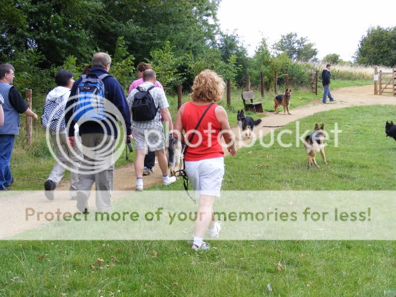 18 shepherds at sywell resevoir Ourwalk006