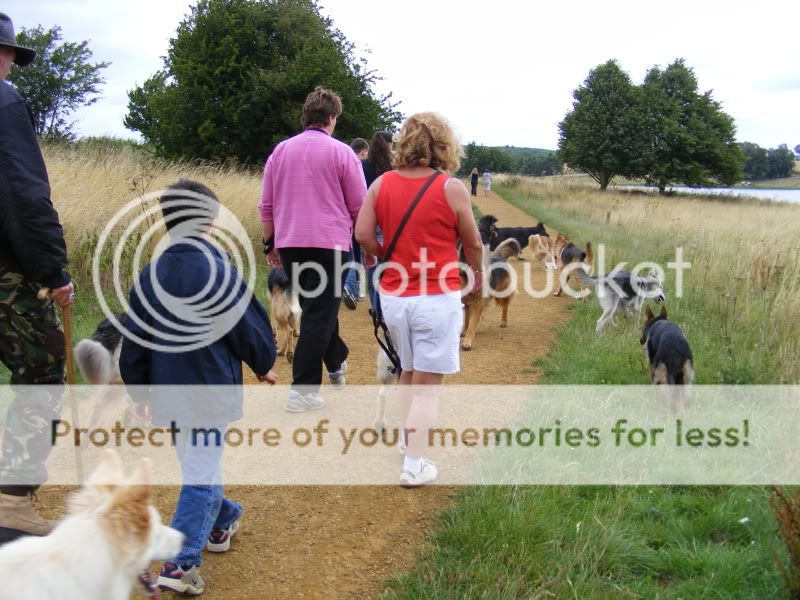 18 shepherds at sywell resevoir Ourwalk007-1