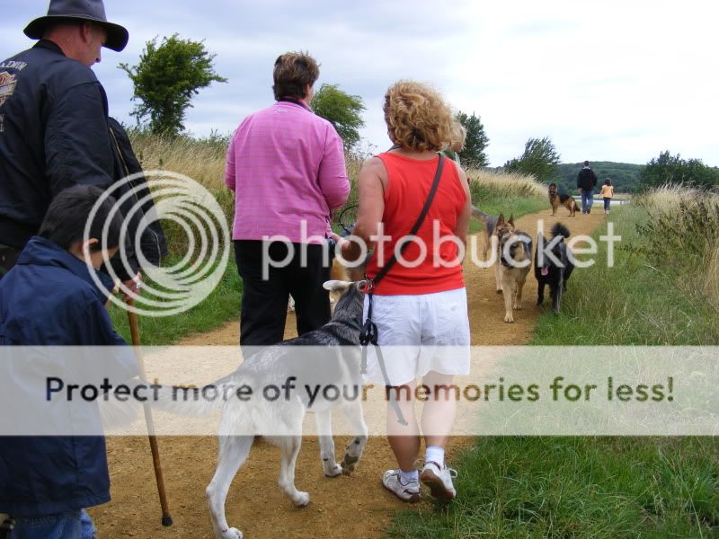 18 shepherds at sywell resevoir Ourwalk009-1