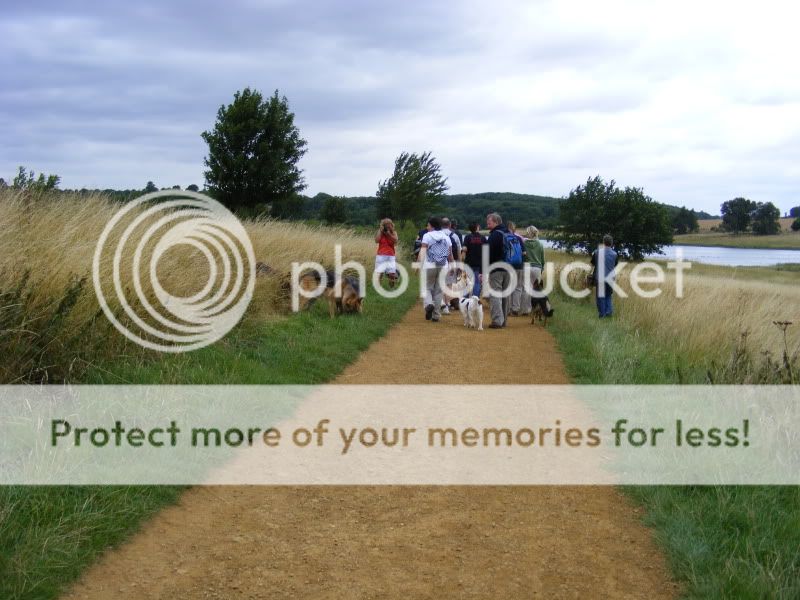 18 shepherds at sywell resevoir Ourwalk012-1