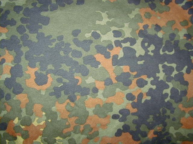 Types of camo Flecktarn