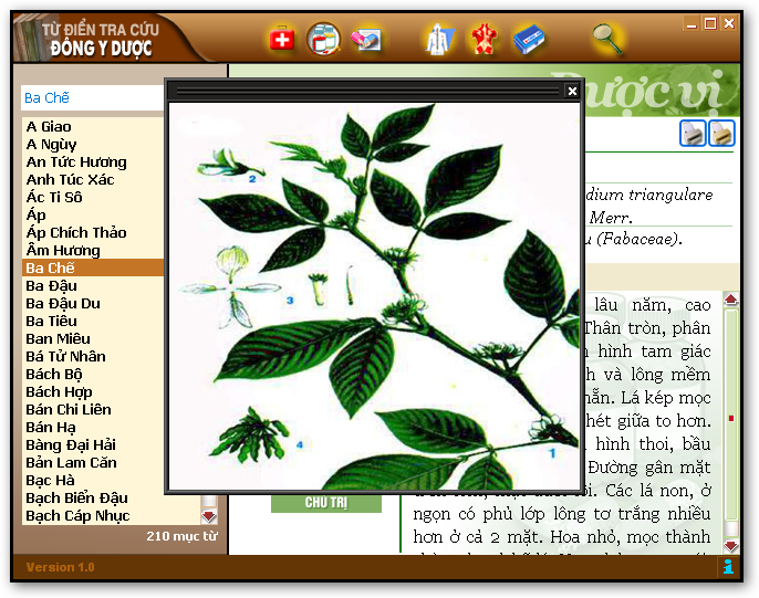 Phần mềm Tự Điển Đông Y Sshot-7-1