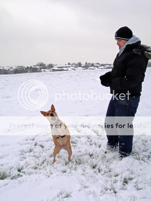 Fun in the snow! DSC03051_edited