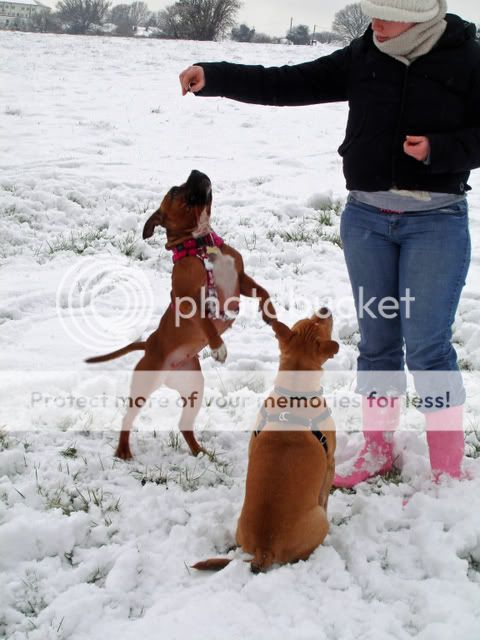 Fun in the snow! DSC03066_edited