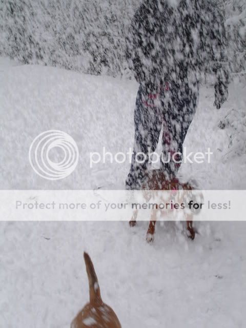 Fun in the snow! DSC03075