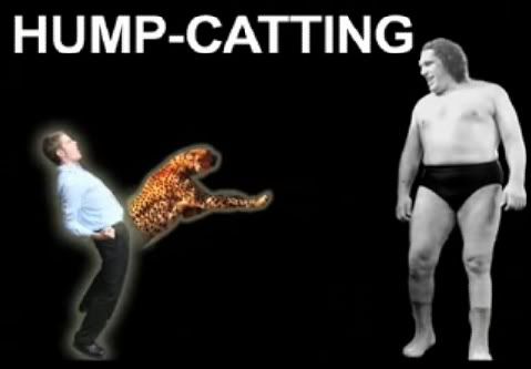 what HUMPCATTING