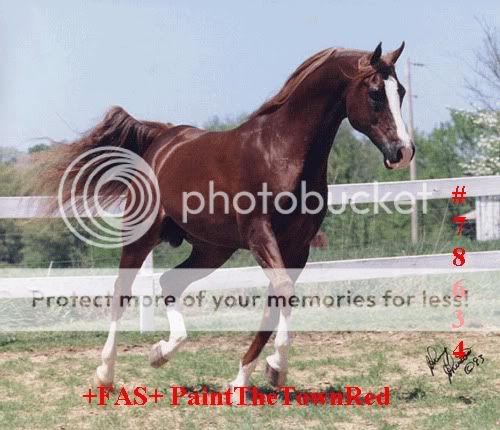 Lilith Amherst - Rancher - Female FASPaintTheTownRed