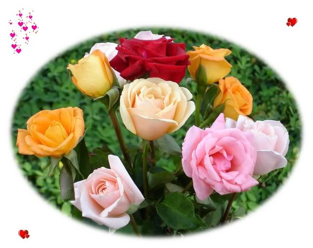 imagenes de flores Colorful_roses_bouquet-dsc00924-a1-