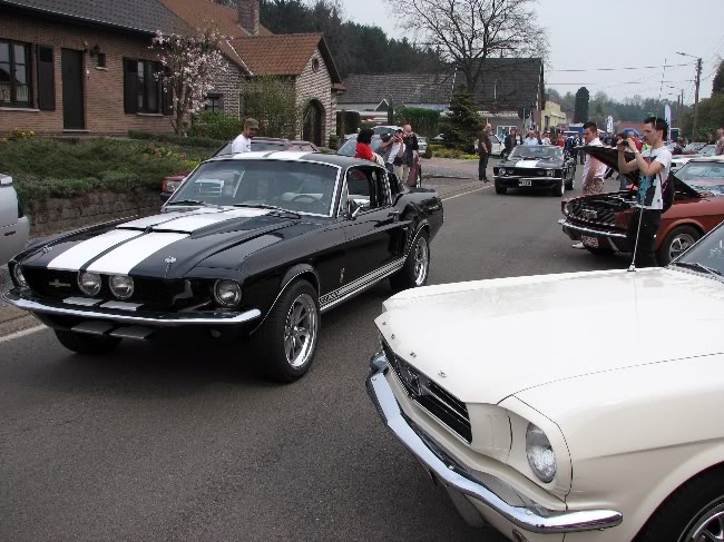 mustang - Sortie Belge : Mustang Garage 2009 090412024650x487