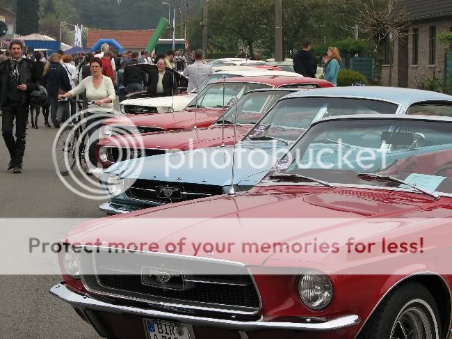 mustang - Sortie Belge : Mustang Garage 2009 090412090650x487