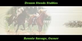 Dream Steeds Treasury Stables