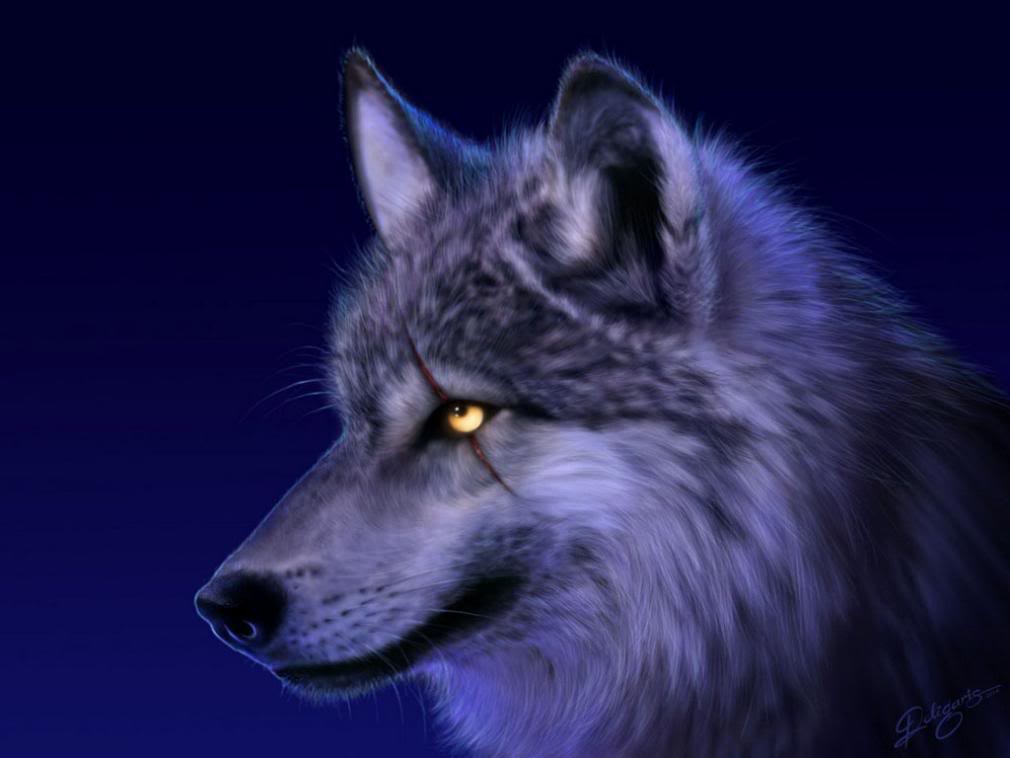 immagini fantasy wolf Injured_Wolf