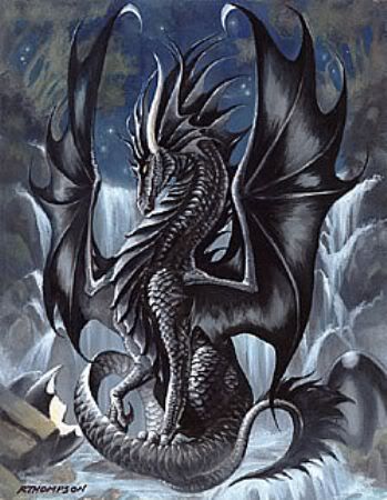 A Dragon's Heart Is The Purest Dragon-Black