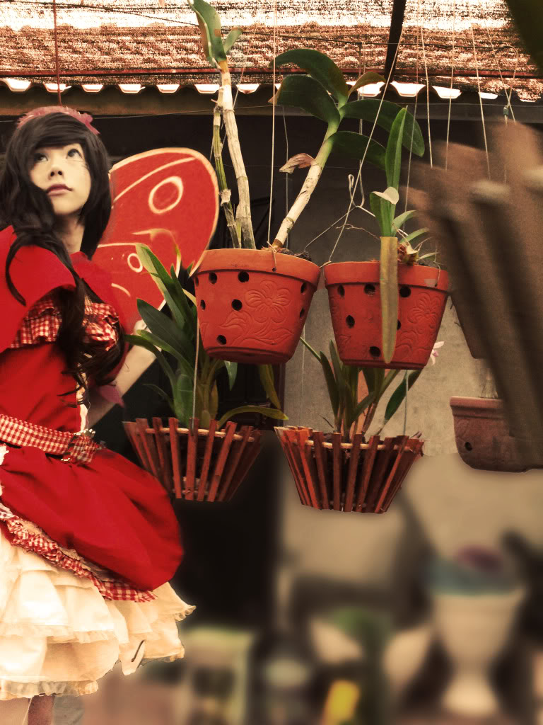 the little red riding hood( cosplay by Taichou QNCC) Redgirl23b