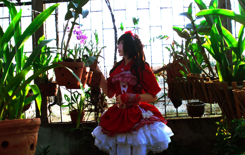 the little red riding hood( cosplay by Taichou QNCC) Redgirl6