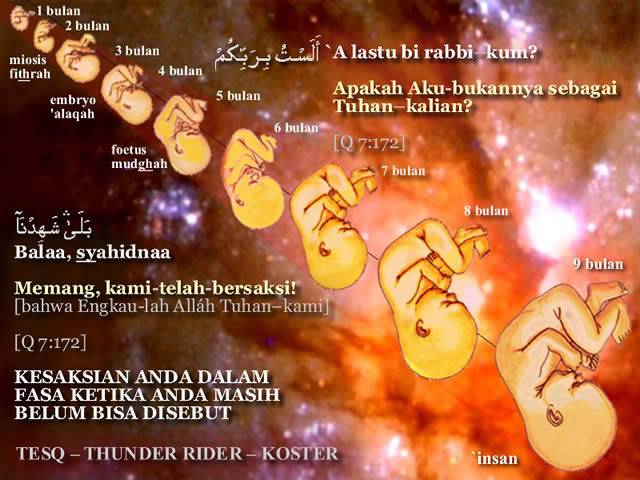 DZIKIR: Muslim? Segera Dirikan Sholat. Waktu Tiba. Allah Tunggu Laporan Anda!!! Baby-stages-640x480