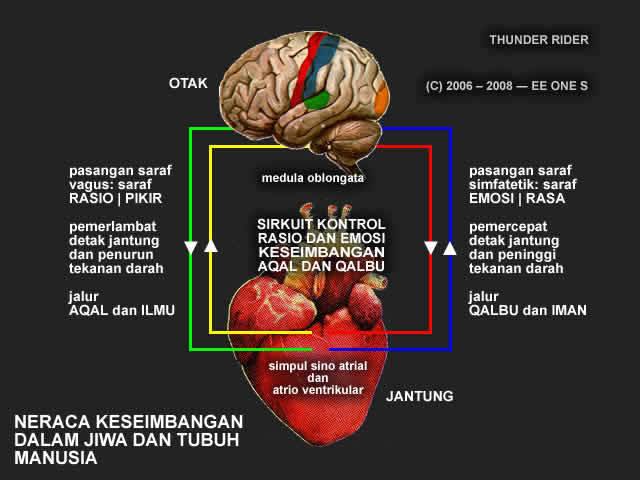 PERILAKU: Mengatasi Emosi Dengan Rasio Brain-heart-circuit-2-640x480