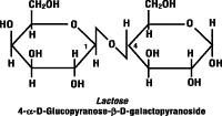 KESEHATAN: KOLOSTRUM: Anda Takan Pernah Hidup Tanpa Ini !!! Colostrum-bottle-lactose