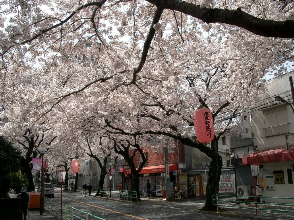 Japón - Shibuya Fuchu-Koen-Dori_in_Fuchu_Tokyo_Japa