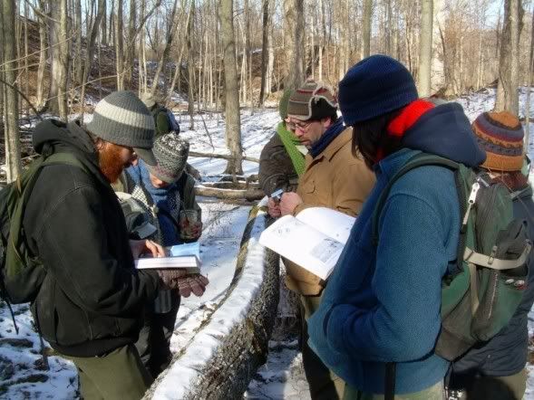 tracking at Lindsay Parson's Biodiversity Preserve Consultingelders