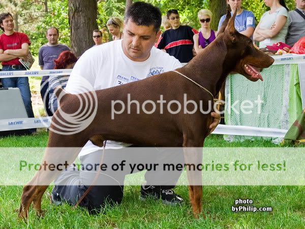 DOBERMANN del Naisuss EckoNaissGingaHouse1