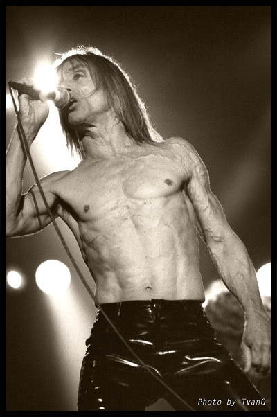 Pictures. - Page 35 IggyPop-2