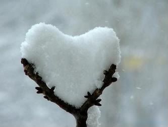 الي يحب الشتاء .. يتفضل .. صور x  صور Heartshapedsnownestledinbranch