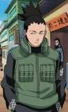 Shikamaru Nara Shikamaru