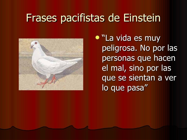 Yo entré por la paz - Página 4 Einstein-y-la-paz-20-728_zpsghmmjkm9