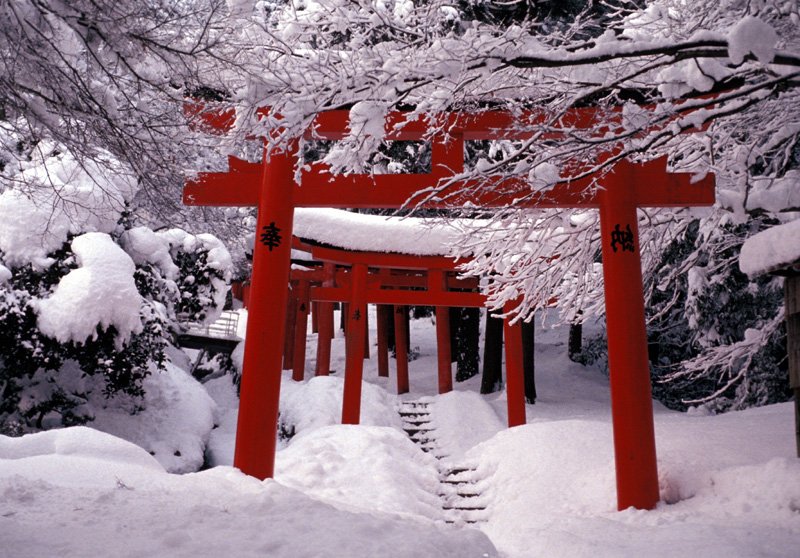 Die Torii Torii-gate-snow_zpsdc531d55