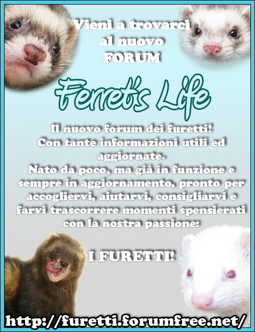 Ferret's Life!! Forum sui furetti! Volantino