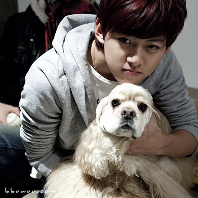 Dongho a day. :] 1