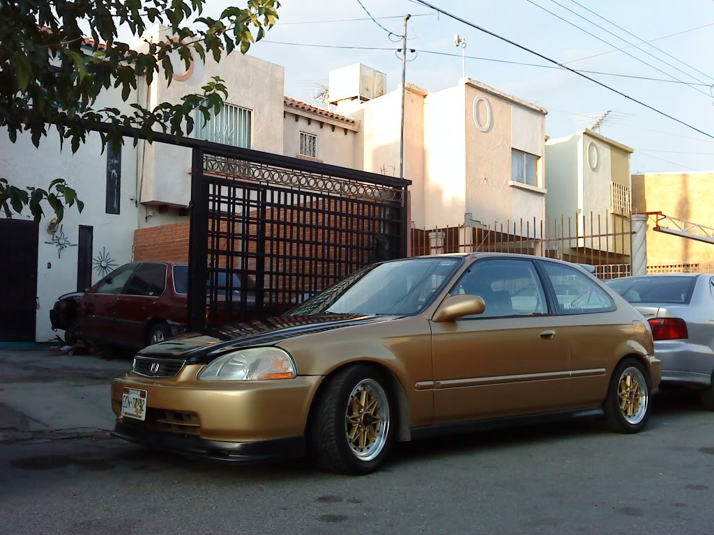 The Dr Julio's Golden Gun o pa los nacos my new ek4 DSC00135